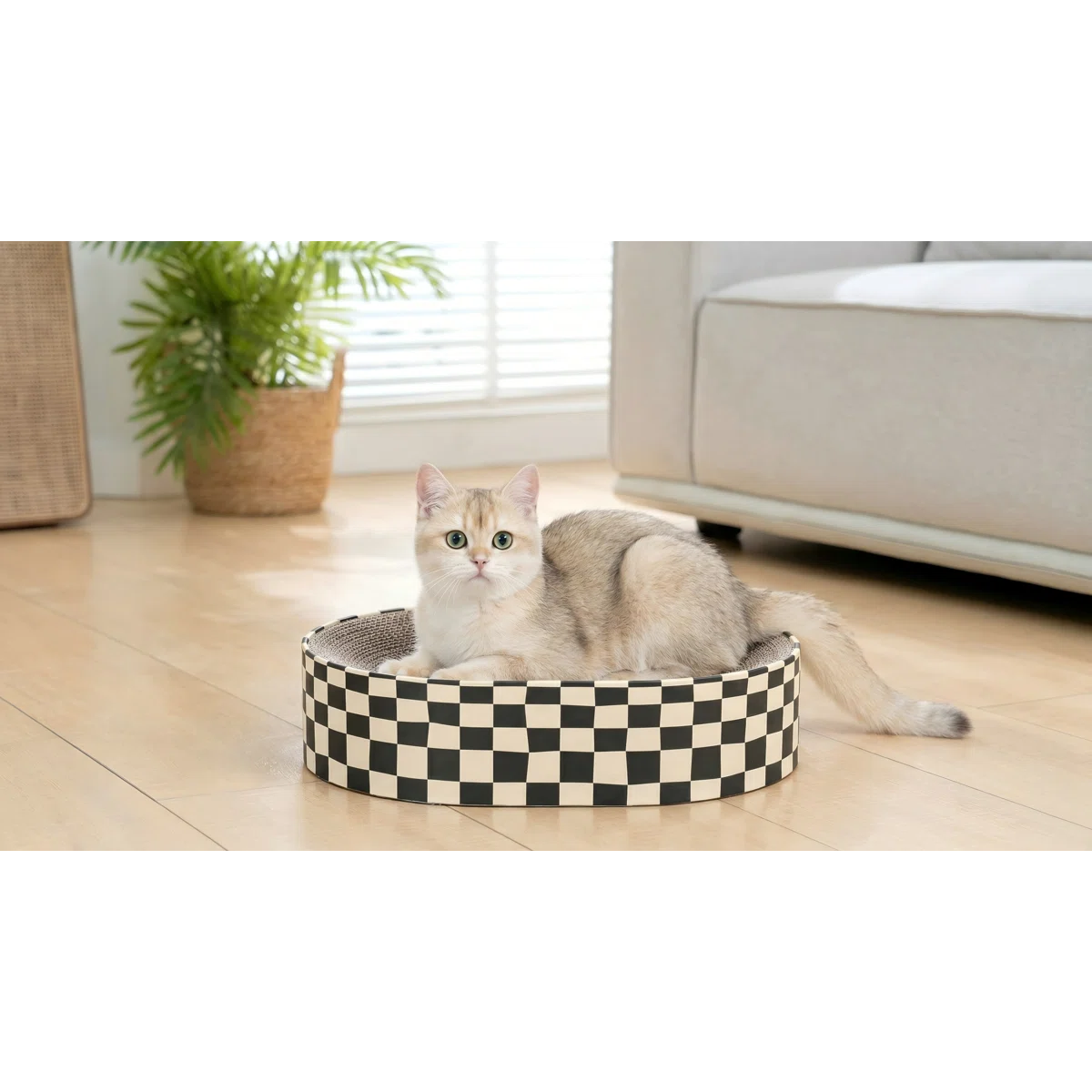 2-in-1 Oval Cardboard Cat Scratcher Bowl, Round Corrugated Scratch Pad for Kittens, Pet Bed & Furniture Protector