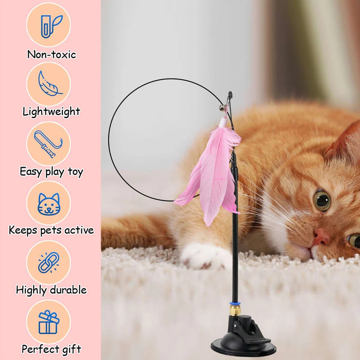 Cat Wand Interactive Cat Toys Detachable Cat Feather Toys Kit for Indoor Outdoor Kitten Toys